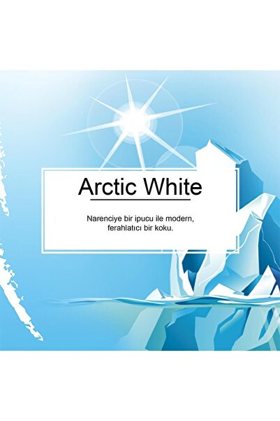 Car Freshner Little Trees Arctic White - Buz Beyazı, Buz Ferahlığı Oto Kokusu 3 Adet