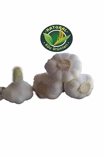 naturalköyürünleri Maraş Sarımsağı Iri Boy 750 gr