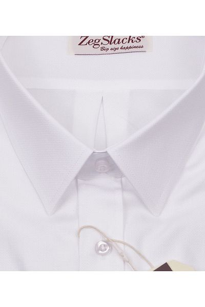 Zeg Slacks Plus Size Men's Shirt