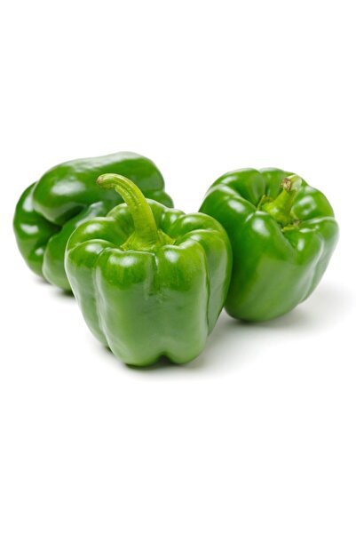 Thebestonline Bell Pepper Seedling, 5 Pcs