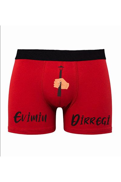 TexKid Fun Men's Boxers with My Home's Pole Design