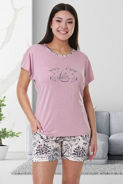 Bella Linda Women's Pajama Set - Cotton Shorts