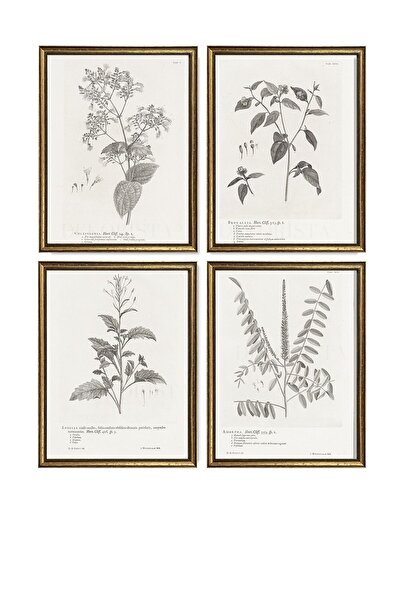 HOME DEKORİSTA Vintage Σετ 4 Διακοσμητικών Πινάκων με Πλαίσιο και Λουλούδια, ...