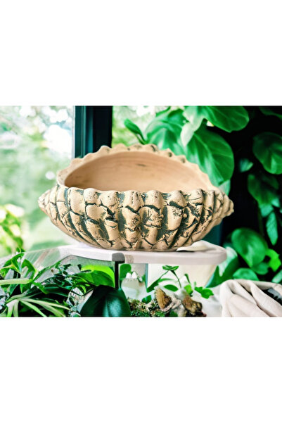 egesaksı Orta boy antik sırlı istiridye saksı