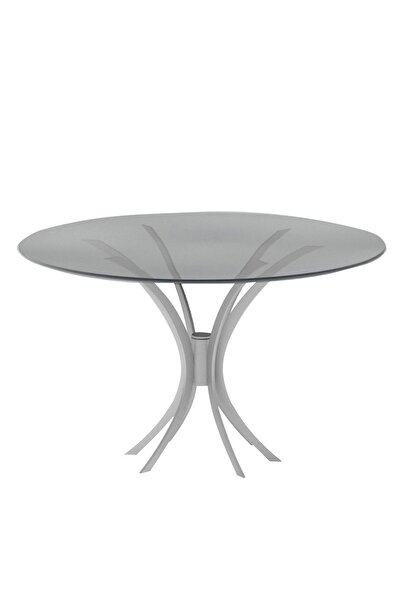 Hitit Dekorasyon Leon Gümüş Metal Yuvarlak Yemek Masası