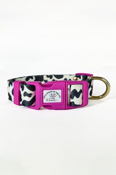 TheTailor The Tailor Candy Mix Pla Clip Dog Collar