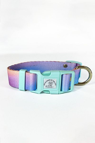 TheTailor Aurora Pla Clip Dog Collar