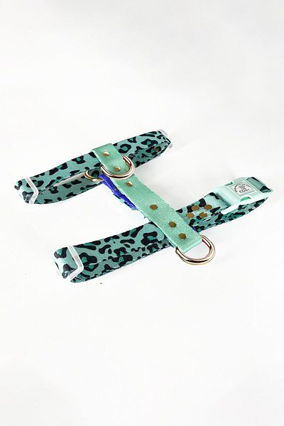 TheTailor The Tailor Blue Leo Pla Lock Anti-Escape Dog Chest Collar