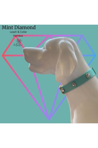TheTailor Kaçış Önleyici Tasma Mint Yeşil Diamond Köpek Boyun Tasması