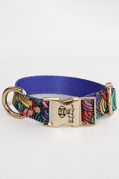 TheTailor The Tailor Rainbow Neck Collar