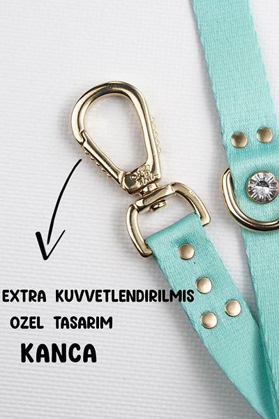 TheTailor Mint Green Stoned Dog Walking Collar