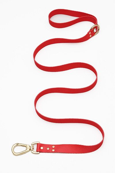 TheTailor Red Diamond Dog Walking Collar