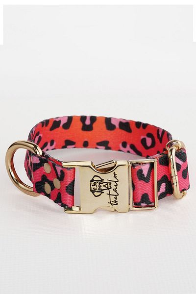 TheTailor Pink Leo Collar Size Xs-l