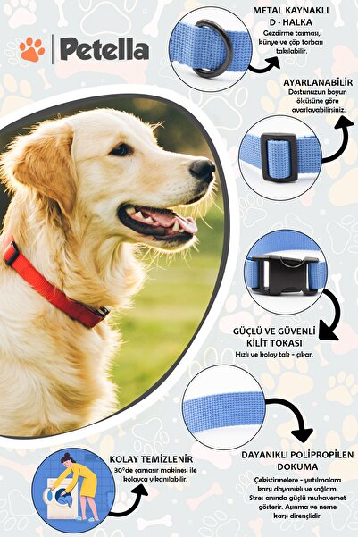 Petella Köpek Tasması Köpek Boyun Tasması Küçük Orta Büyük Irk Köpek Boyun Tasması