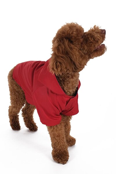DoReDo-g Su Geçirmez Kırmızı Küçük Irk Köpek yağmurluk