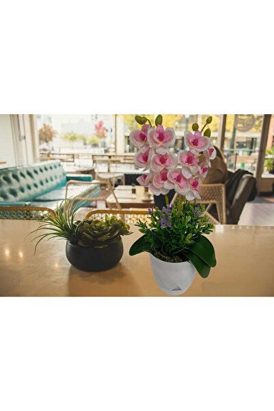 Cennet Home Mini ikili orkide canlı renkli yapay çiçek beyaz saksıda dekoratif masaüstü hediyelik çiçek