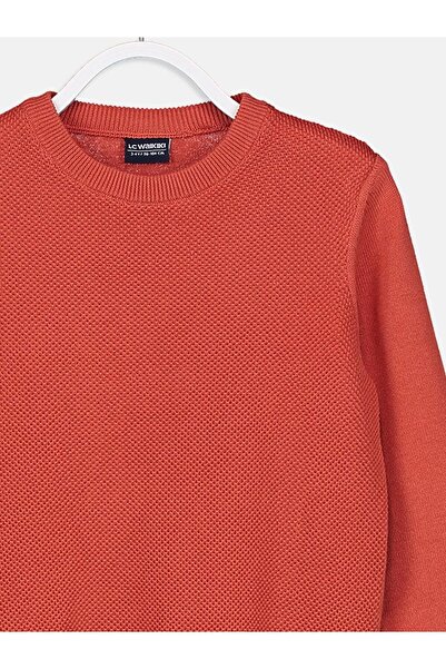 LC Waikiki LCW Kids Erkek Çocuk İnce Basic Triko Kazak