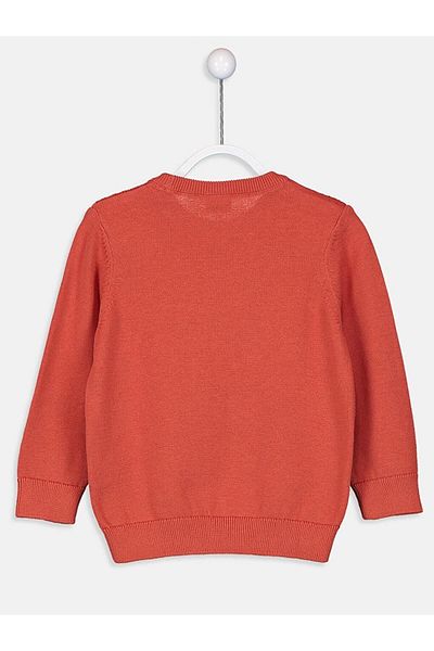 LC Waikiki LCW Kids Pulover de bază subțire pentru băiat