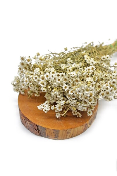 sütçübaba Yeni Mahsül Kuru Papatya 100 Gr