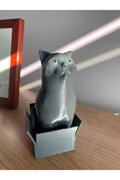 huni British Kedi Biblo Dekoratif Kedi Figür Kutudan Çıkan Kedi Biblosu 13cm