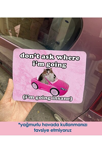 moontainills Kedili Araba Magneti I am going insane