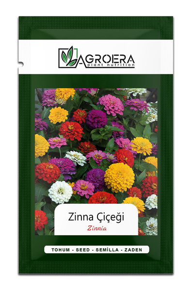 AGROERA Beybeğendi zinnia Çiçek Tohumu 50 Adet