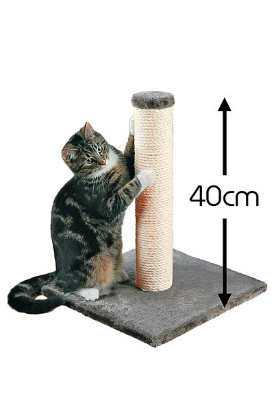 Patiderm Gray Color Plus Mattress Small (35Cmx50Cm) and 40cm Scratching