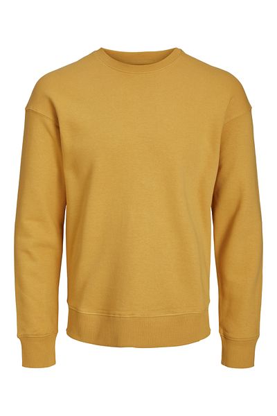 Jack & Jones 12208182   Hanorac model