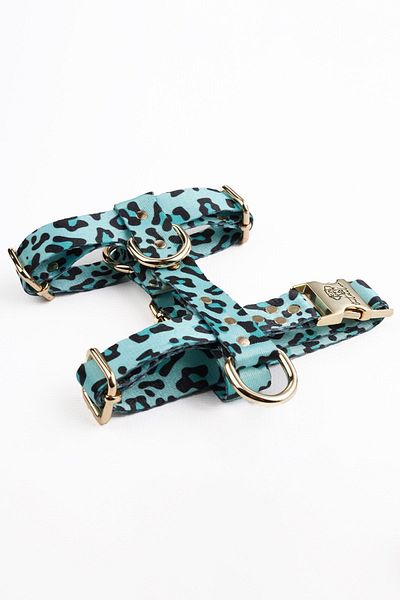 TheTailor Anti-Escape Leash Blue Leo Leash Set Chest Leash and Travel Leash