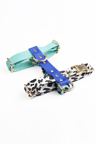 TheTailor Blue Berry 3-Piece Collar Set - Anti-Escape, Chest and Neck Collar and Travel Collar