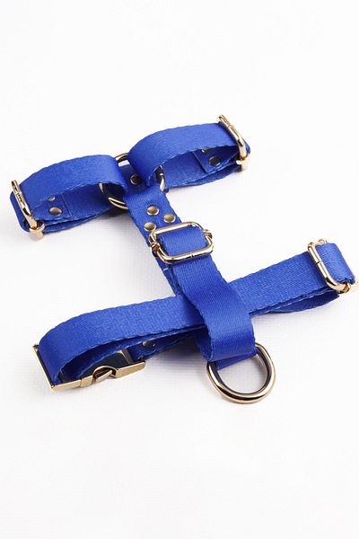 TheTailor The Talior Saks Blue Diamond Chest Collar