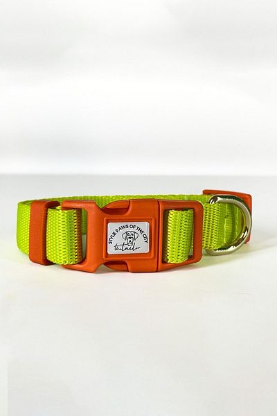 TheTailor Anti-Escape Collar Orange Clip Dog Collar