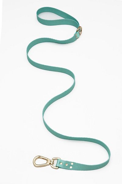 TheTailor Mint Green Stoned Dog Walking Collar