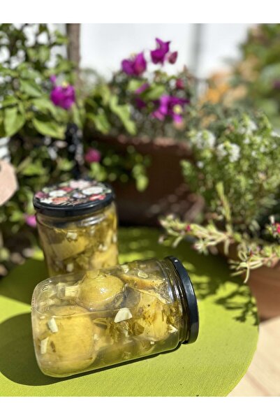 Aydın Enginar Köy Ürünleri 660 cc Zeytinyağlı Baharatlı Sapsız Kalp Enginar