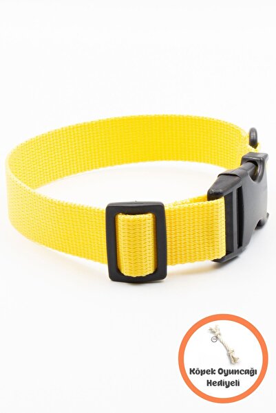 Petella Köpek Tasması Köpek Boyun Tasması Küçük Orta Büyük Irk Köpek Boyun Tasması