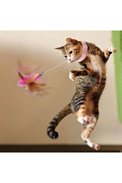 CeymSTecH Funny Cat Stick Retractable Spring and Pile Leash-Shaped Cat Toy