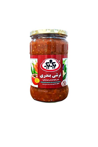 ARİA İRAN MARKET İRAN BANDARİ TURŞU - SALÇALI KARIŞIK TURŞU - 670 GR