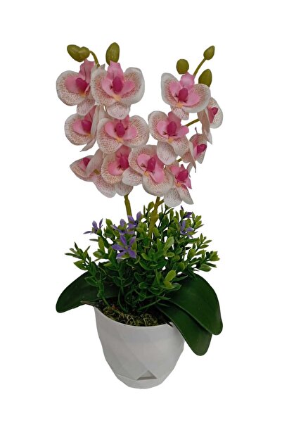 Cennet Home Mini ikili orkide canlı renkli yapay çiçek beyaz saksıda dekoratif masaüstü hediyelik çiçek