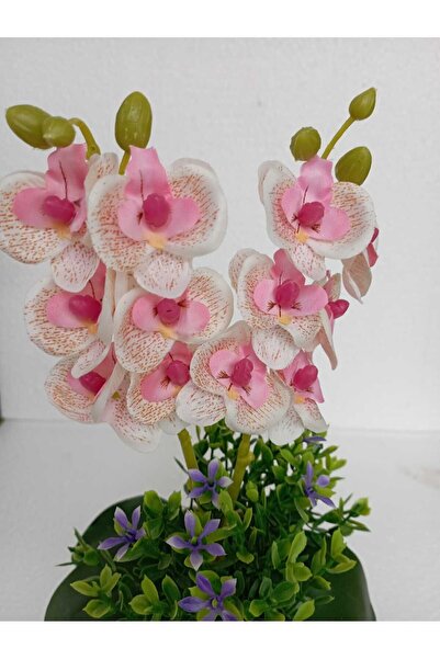 Cennet Home Mini ikili orkide canlı renkli yapay çiçek beyaz saksıda dekoratif masaüstü hediyelik çiçek