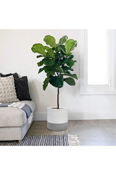 ModaCardin 30x30 Cm Decorative Jute Wicker Flower Pot Towel Holder Organizer