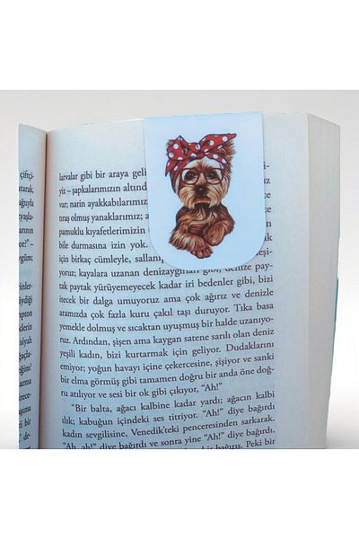Pagos Yayınları Magnetic Bookmark (4X6 cm / 350 grCoated Mat Cellophane)