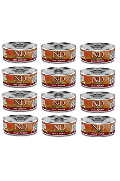 N&D Balkabaklı Ve Bıldırcınlı Tahılsız Konserve Yetişkin Kedi Maması 12 X 70 Gr