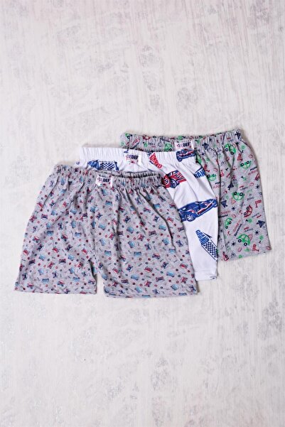 Sedef 3 Πακέτα μπόξερ με σχέδια για αγόρια - 1037