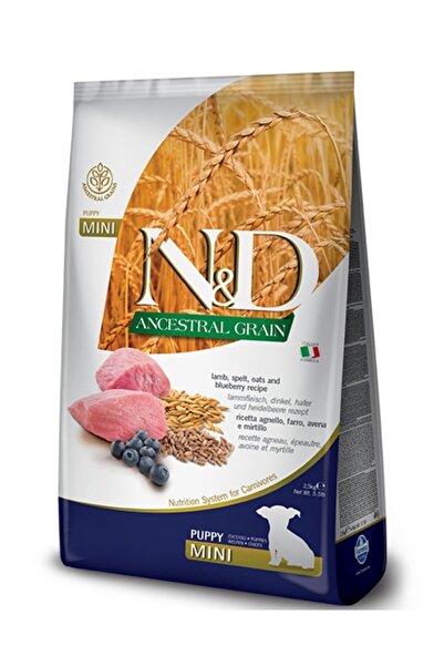 N&D Ancestral Graın Kuzu & Yaban Mersini Puppy Mını 2.5 kg