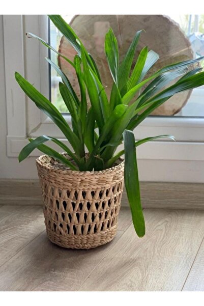 Süs Dükkanı Hasır Saksı Sepet Ahşap Dekoratif Saksı Sepet Modeli