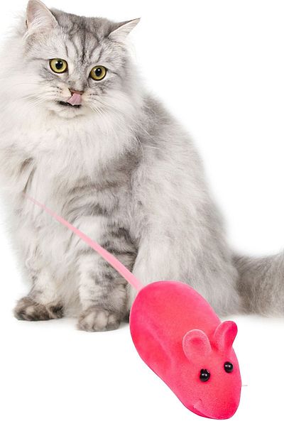 Gampus Cat Toy Mouse Cat Training Toy Mouse with Sound 2 Pieces