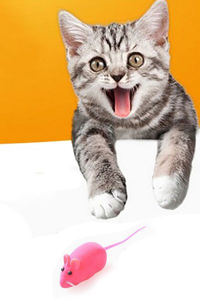 Gampus Cat Toy Mouse Cat Training Toy Mouse with Sound 2 Pieces