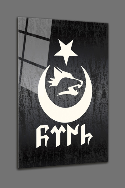 BV DEKOR AYYILDIZ BOZ KURT ΓΥΑΛΙΝΗ ΕΠΙΦΑΝΕΙΑ-ΔΙΑΚΟΣΜΗΤΙΚΗ ΕΠΙΦΑΝΕΙΑ ΤΟΙΧΟΥ-4 ...