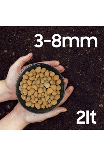 Elysian Kil Bilyesi 2 Litre 3-8mm Lecat Topraksız Tarım Kaktüs Sukulent Topra...