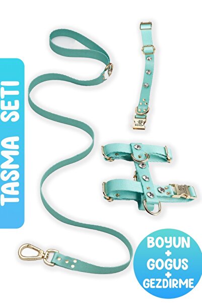 TheTailor طقم أطواق مكون من 3 قطع من Mint Diamond - طوق للصدر والرقبة والمشي